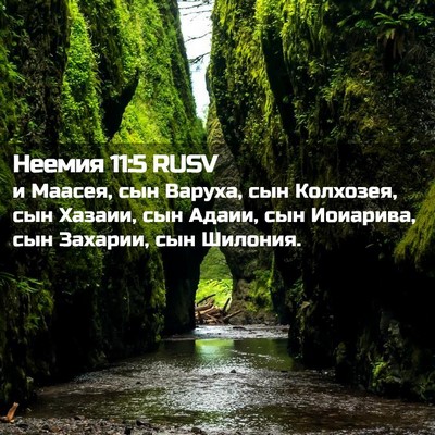 Picture 02 - Неемия 11:5 RUSV - и Маасея, сын Варуха, сын - Bible Verse Picture