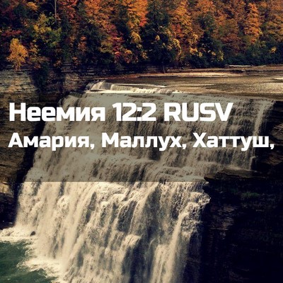 Picture 02 - Неемия 12:2 RUSV - Амария, Маллух, - Bible Verse Picture