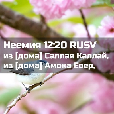 Picture 02 - Неемия 12:20 RUSV - из [дома] Саллая Каллай, из - Bible Verse Picture