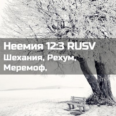 Picture 02 - Неемия 12:3 RUSV - Шехания, Рехум, - Bible Verse Picture