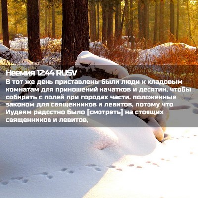 Picture 02 - Неемия 12:44 RUSV - В тот же день приставлены - Bible Verse Picture