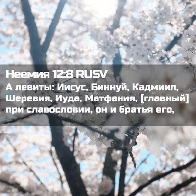 Picture 02 - Неемия 12:8 RUSV - А левиты: Иисус, Биннуй, - Bible Verse Picture