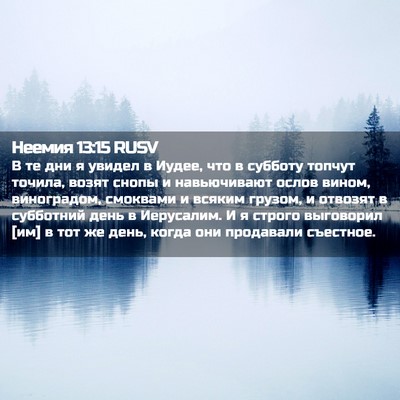 Picture 02 - Неемия 13:15 RUSV - В те дни я увидел в Иудее, - Bible Verse Picture