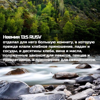 Picture 02 - Неемия 13:5 RUSV - отделал для него большую - Bible Verse Picture