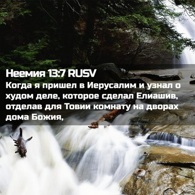 Picture 02 - Неемия 13:7 RUSV - Когда я пришел в Иерусалим - Bible Verse Picture