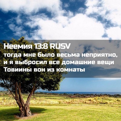 Picture 02 - Неемия 13:8 RUSV - тогда мне было весьма - Bible Verse Picture
