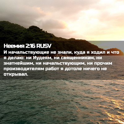 Picture 02 - Неемия 2:16 RUSV - И начальствующие не знали, - Bible Verse Picture