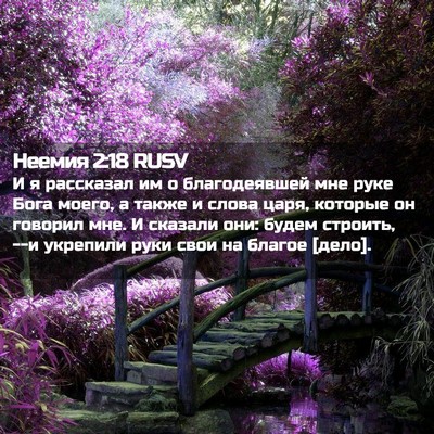 Picture 02 - Неемия 2:18 RUSV - И я рассказал им о - Bible Verse Picture