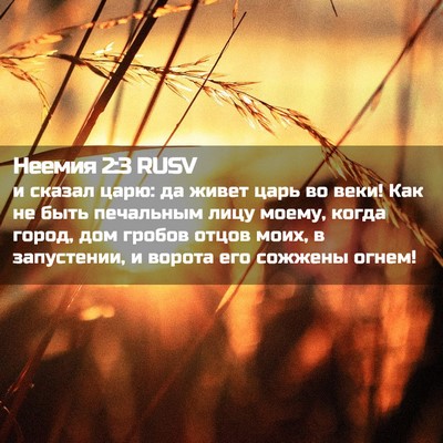 Picture 02 - Неемия 2:3 RUSV - и сказал царю: да живет - Bible Verse Picture