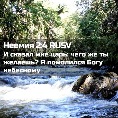 Picture 02 - Неемия 2:4 RUSV - И сказал мне царь: чего же - Bible Verse Picture
