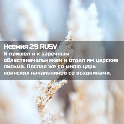 Picture 02 - Неемия 2:9 RUSV - И пришел я к заречным - Bible Verse Picture