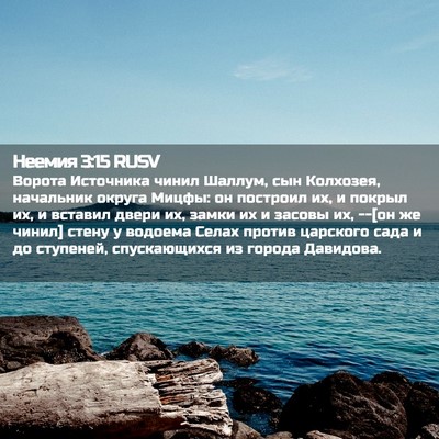 Picture 02 - Неемия 3:15 RUSV - Ворота Источника чинил - Bible Verse Picture