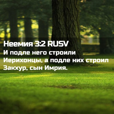 Picture 02 - Неемия 3:2 RUSV - И подле него строили - Bible Verse Picture