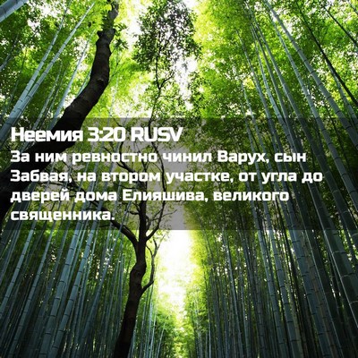 Picture 02 - Неемия 3:20 RUSV - За ним ревностно чинил - Bible Verse Picture