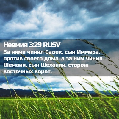 Picture 02 - Неемия 3:29 RUSV - За ними чинил Садок, сын - Bible Verse Picture