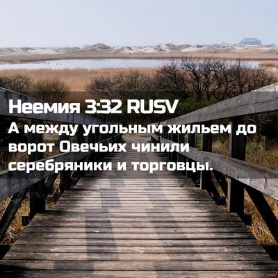 Picture 02 - Неемия 3:32 RUSV - А между угольным жильем до - Bible Verse Picture