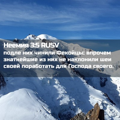Picture 02 - Неемия 3:5 RUSV - подле них чинили Фекойцы; - Bible Verse Picture