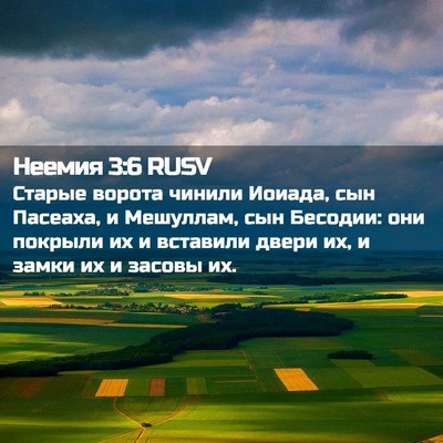 Picture 02 - Неемия 3:6 RUSV - Старые ворота чинили - Bible Verse Picture