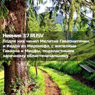 Picture 02 - Неемия 3:7 RUSV - Подле них чинил Мелатия - Bible Verse Picture