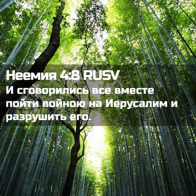 Picture 02 - Неемия 4:8 RUSV - И сговорились все вместе - Bible Verse Picture