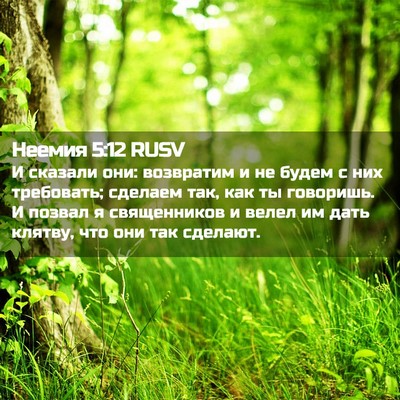 Picture 02 - Неемия 5:12 RUSV - И сказали они: возвратим и - Bible Verse Picture