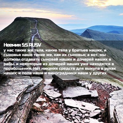 Picture 02 - Неемия 5:5 RUSV - у нас такие же тела, какие - Bible Verse Picture