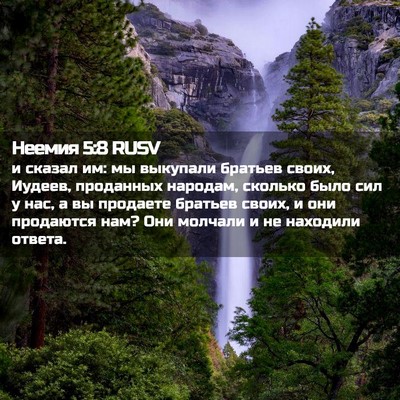 Picture 02 - Неемия 5:8 RUSV - и сказал им: мы выкупали - Bible Verse Picture
