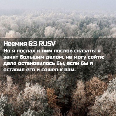 Picture 02 - Неемия 6:3 RUSV - Но я послал к ним послов - Bible Verse Picture