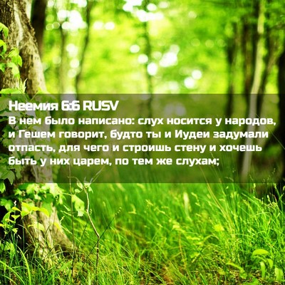 Picture 02 - Неемия 6:6 RUSV - В нем было написано: слух - Bible Verse Picture