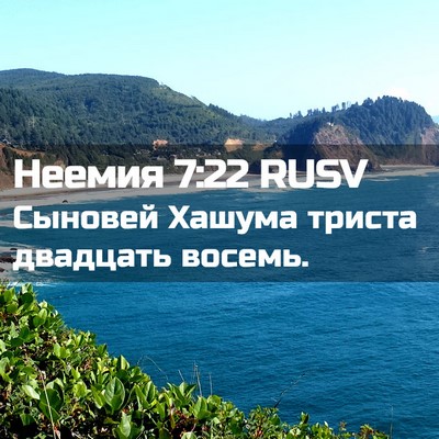 Picture 02 - Неемия 7:22 RUSV - Сыновей Хашума триста - Bible Verse Picture