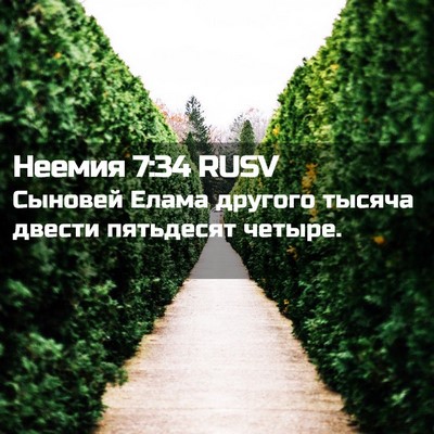 Picture 02 - Неемия 7:34 RUSV - Сыновей Елама другого - Bible Verse Picture