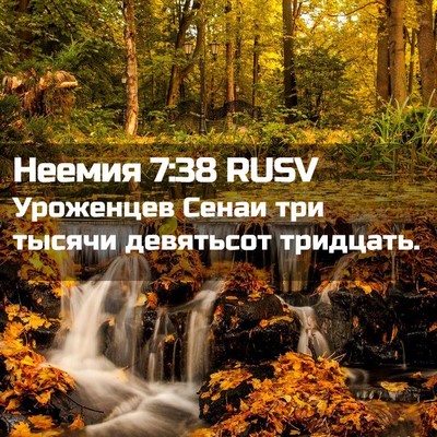 Picture 02 - Неемия 7:38 RUSV - Уроженцев Сенаи три тысячи - Bible Verse Picture