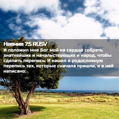 Picture 02 - Неемия 7:5 RUSV - И положил мне Бог мой на - Bible Verse Picture