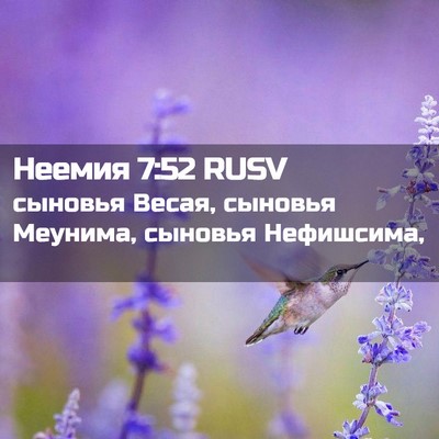 Picture 02 - Неемия 7:52 RUSV - сыновья Весая, сыновья - Bible Verse Picture