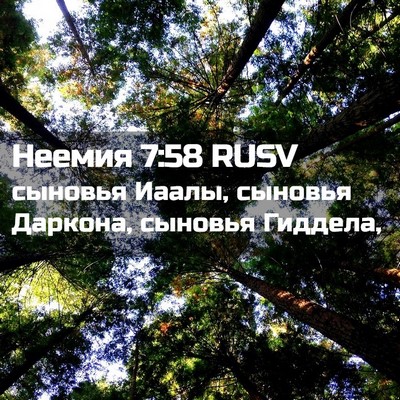 Picture 02 - Неемия 7:58 RUSV - сыновья Иаалы, сыновья - Bible Verse Picture