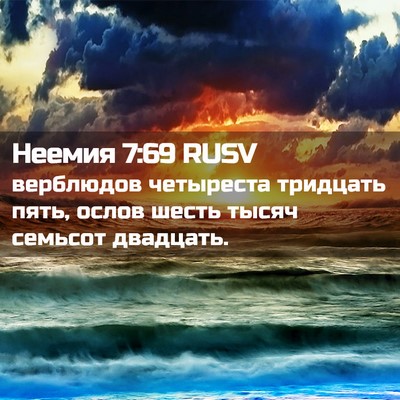 Picture 02 - Неемия 7:69 RUSV - верблюдов четыреста - Bible Verse Picture