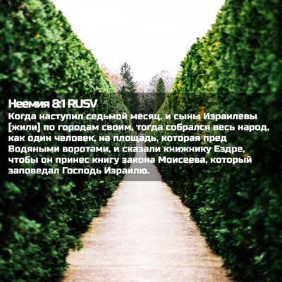 Picture 02 - Неемия 8:1 RUSV - Когда наступил седьмой - Bible Verse Picture