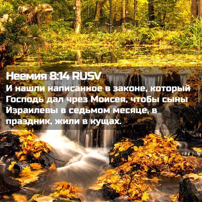 Picture 02 - Неемия 8:14 RUSV - И нашли написанное в - Bible Verse Picture