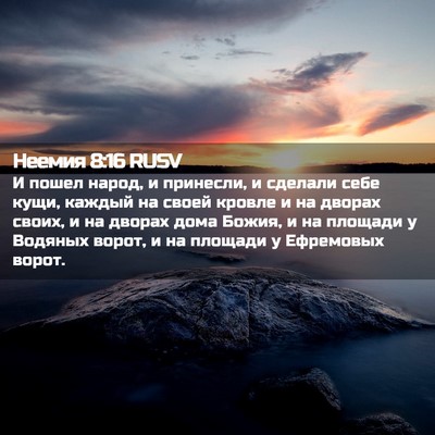 Picture 02 - Неемия 8:16 RUSV - И пошел народ, и принесли, и - Bible Verse Picture