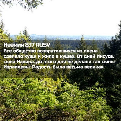 Picture 02 - Неемия 8:17 RUSV - Все общество - Bible Verse Picture