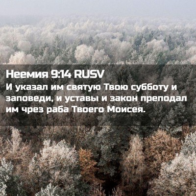 Picture 02 - Неемия 9:14 RUSV - И указал им святую Твою - Bible Verse Picture