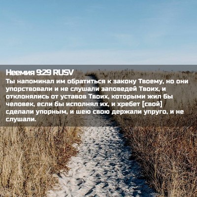 Picture 02 - Неемия 9:29 RUSV - Ты напоминал им обратиться - Bible Verse Picture