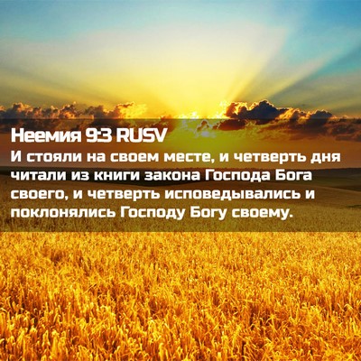 Picture 02 - Неемия 9:3 RUSV - И стояли на своем месте, и - Bible Verse Picture