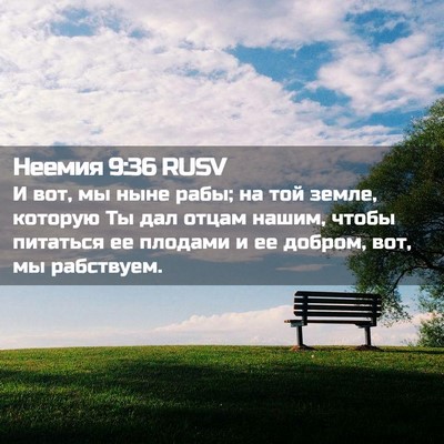 Picture 02 - Неемия 9:36 RUSV - И вот, мы ныне рабы; на той - Bible Verse Picture