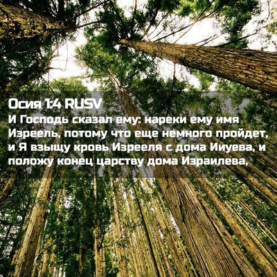 Picture 02 - Осия 1:4 RUSV - И Господь сказал ему: - Bible Verse Picture