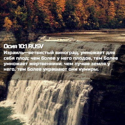 Picture 02 - Осия 10:1 RUSV - Израиль--ветвистый - Bible Verse Picture