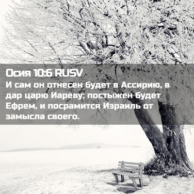 Picture 02 - Осия 10:6 RUSV - И сам он отнесен будет в - Bible Verse Picture