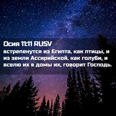 Picture 02 - Осия 11:11 RUSV - встрепенутся из Египта, - Bible Verse Picture