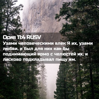 Picture 02 - Осия 11:4 RUSV - Узами человеческими влек Я - Bible Verse Picture