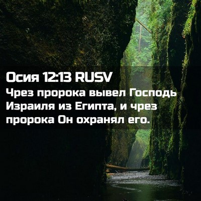 Picture 02 - Осия 12:13 RUSV - Чрез пророка вывел Господь - Bible Verse Picture